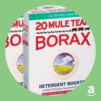20-Mule Team Borax